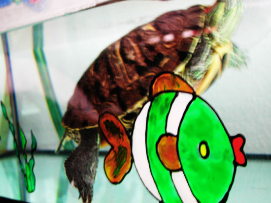 ninja turtle vs fishes #4