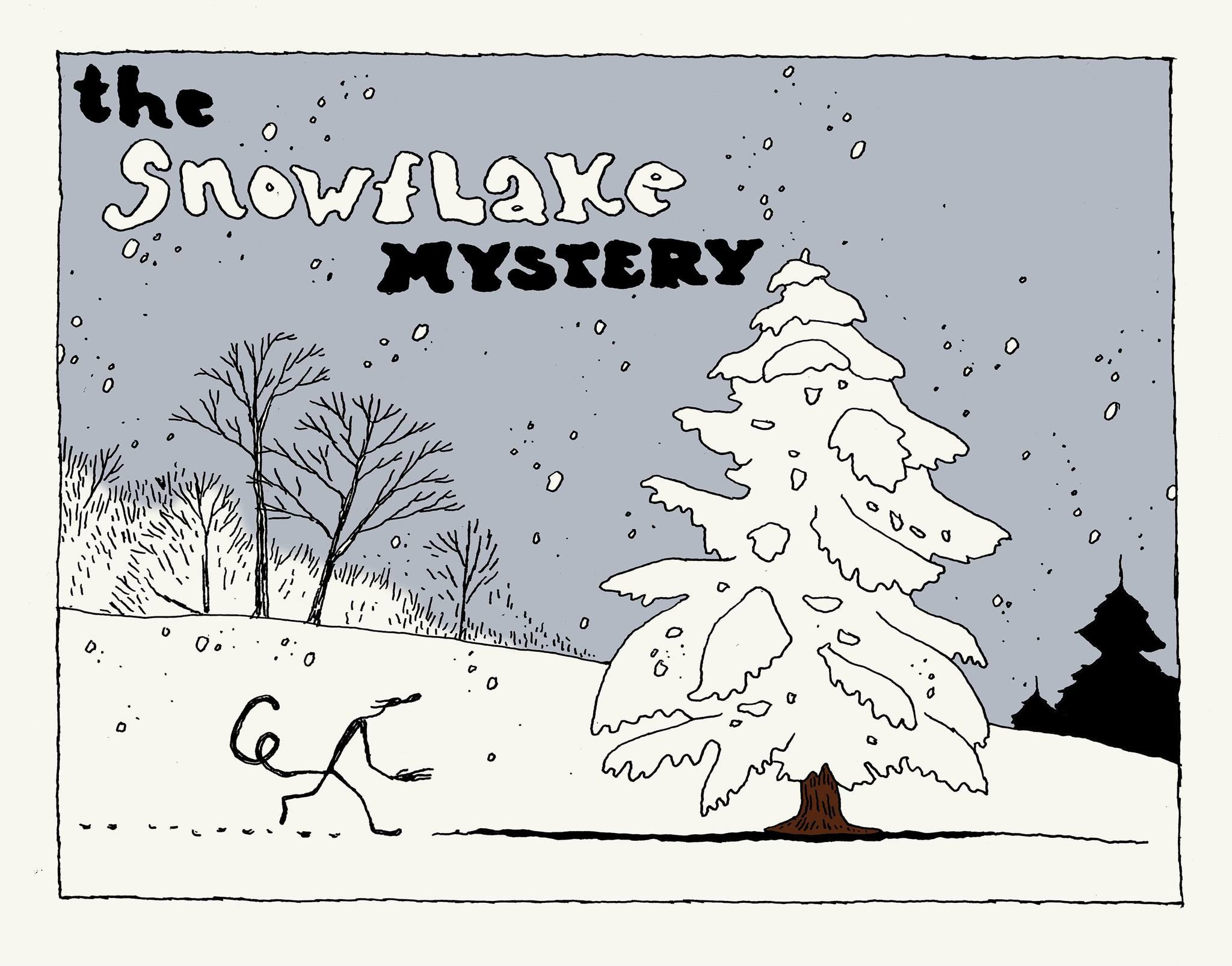 .: Fabio Viscogliosi :: The Snowflake Mystery