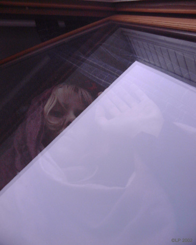 Lina Prokofieff :: Glass' Widow | hinah exhibitions #2