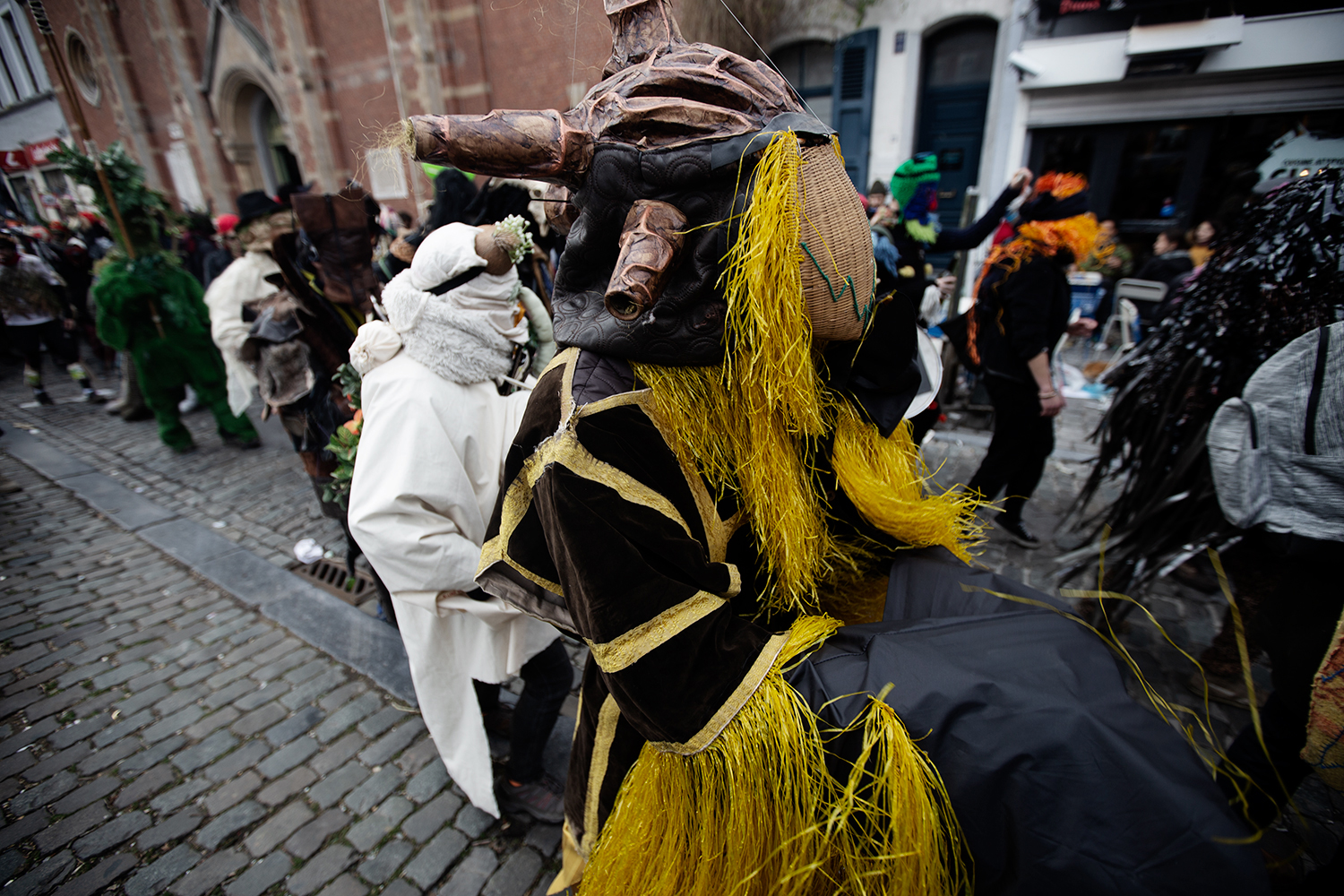 Carnaval Sauvage de Bruxelles 2019 #36