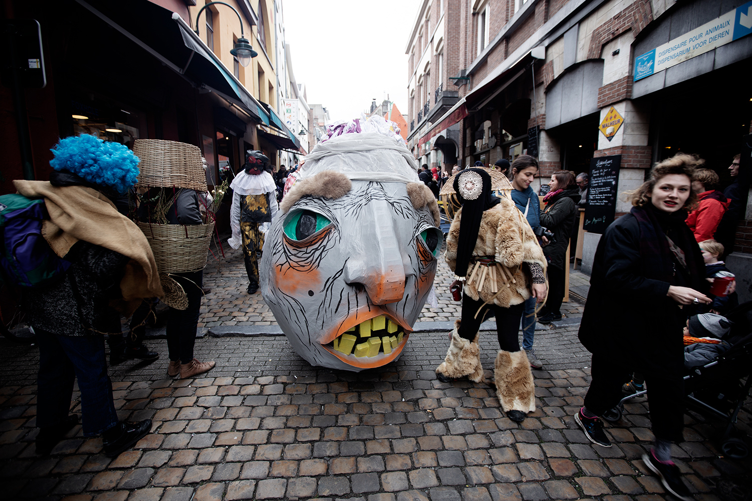 Carnaval Sauvage de Bruxelles 2019 #4