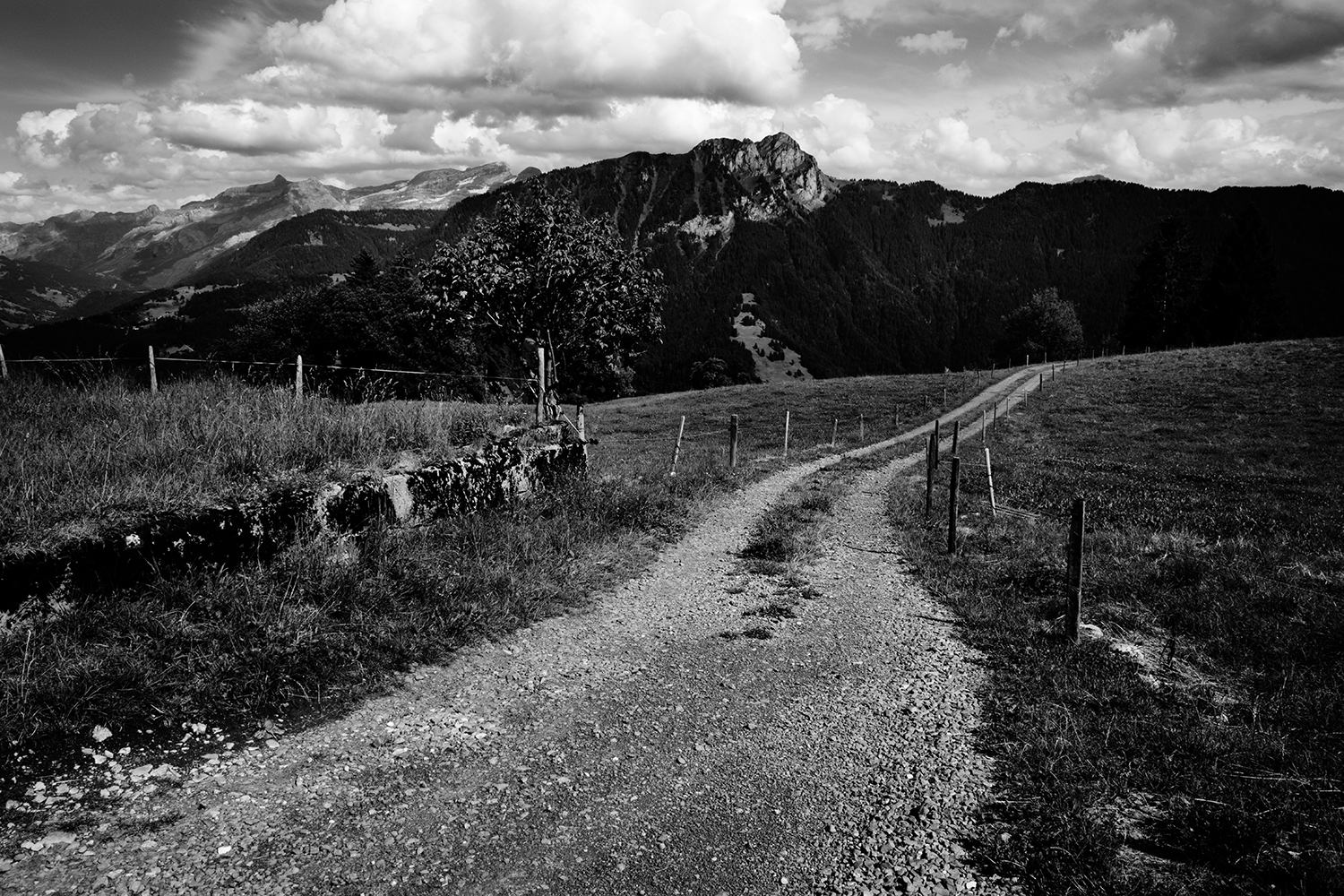 Leysin, Switzerland #17