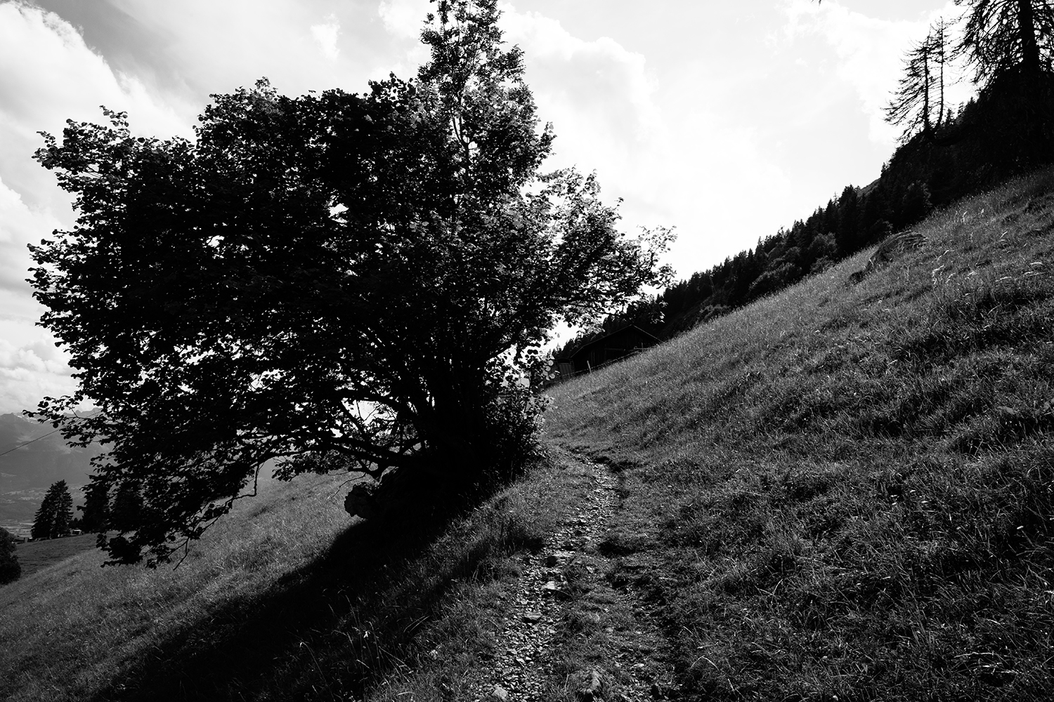 Leysin, Switzerland #18
