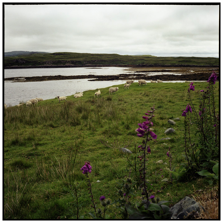 Isle of Skye, Scotland #29