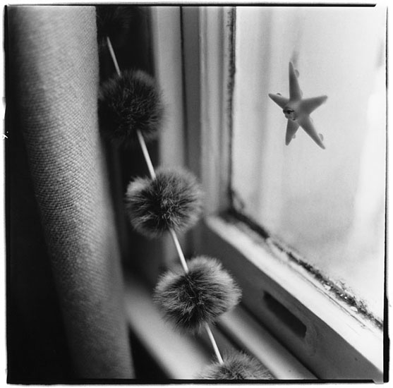 Alice Mary B.'s Window #18