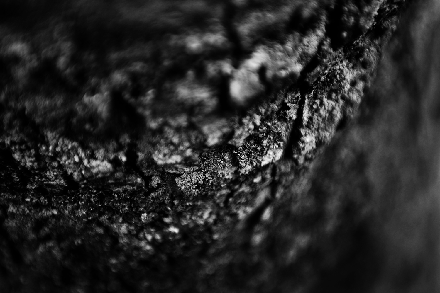 Dark Nature by Laurent Orseau #140