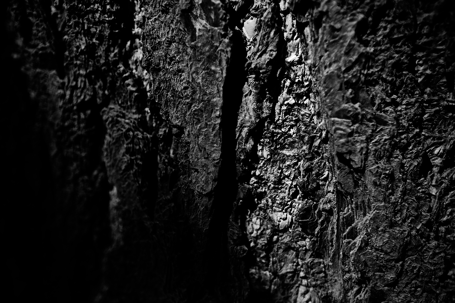 Dark Nature