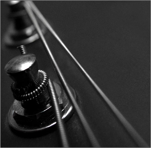 Guitar, strings & pegs #1