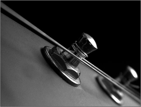 Guitar, strings & pegs #4