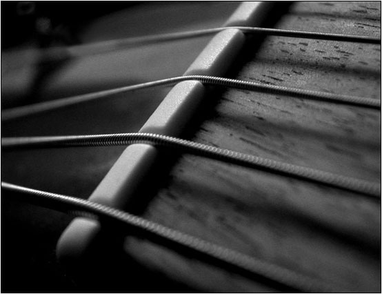 Guitar, strings & pegs #6