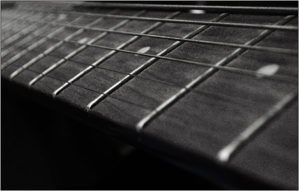 Guitar, strings & pegs #7