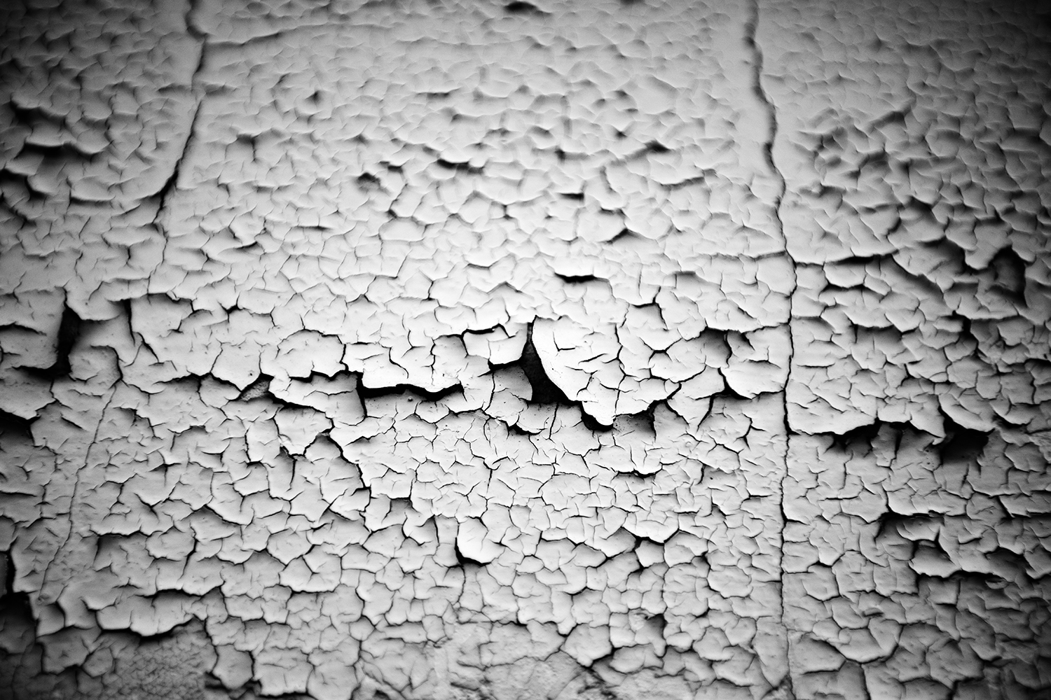 Miscellaneous #245
