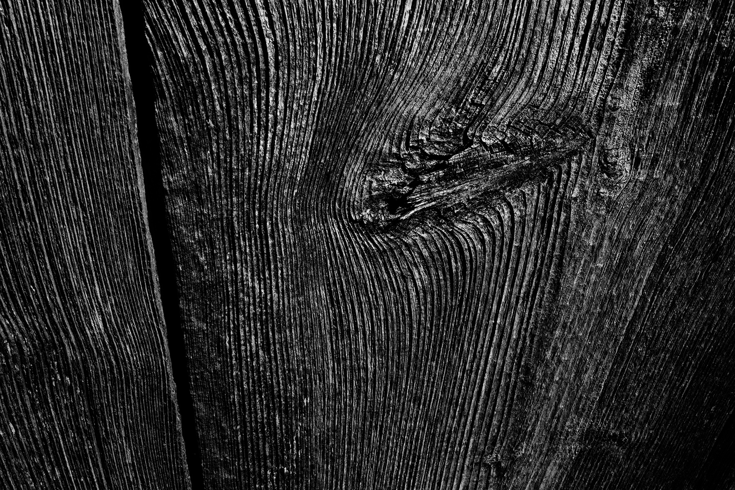 Miscellaneous #248