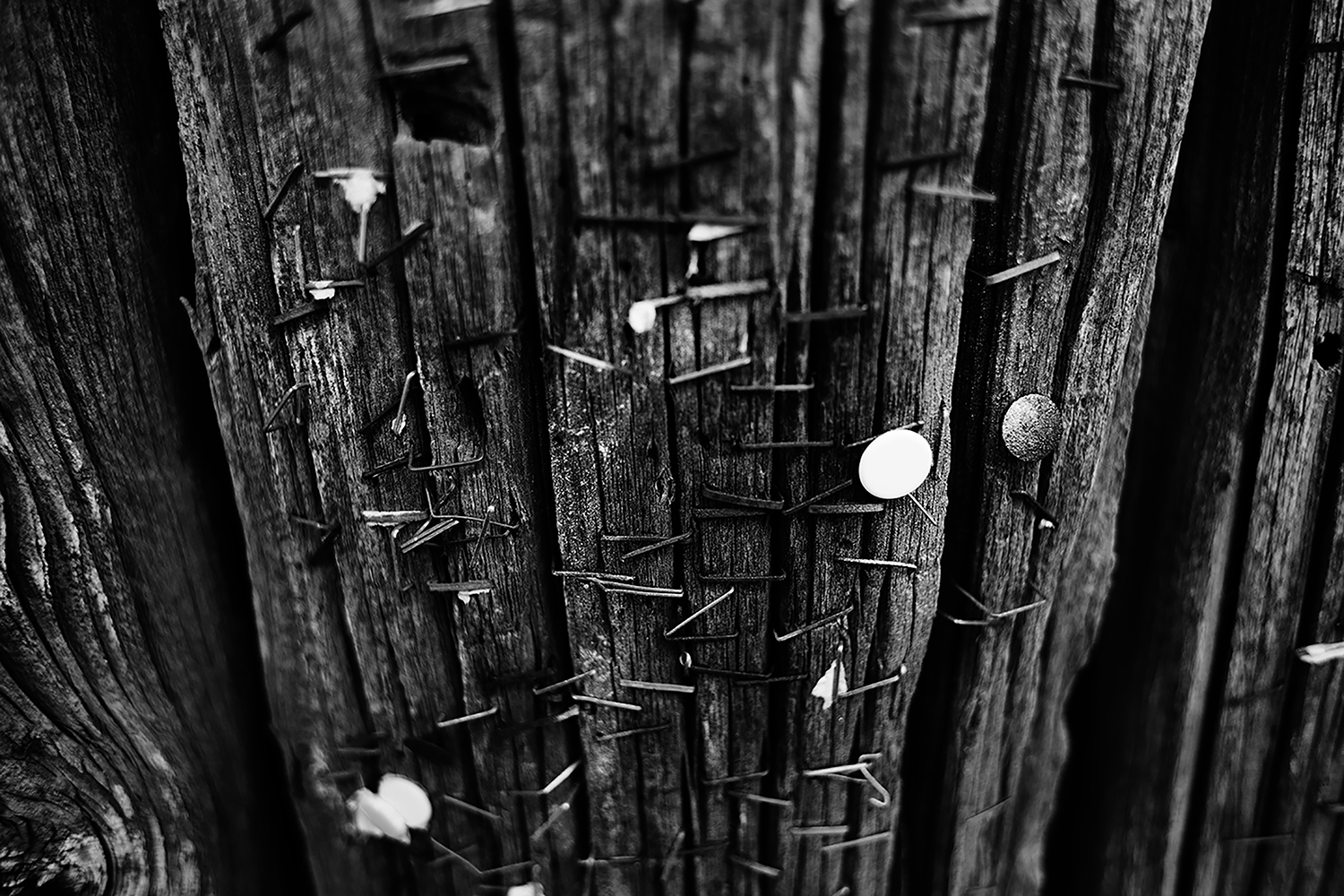 Miscellaneous #249