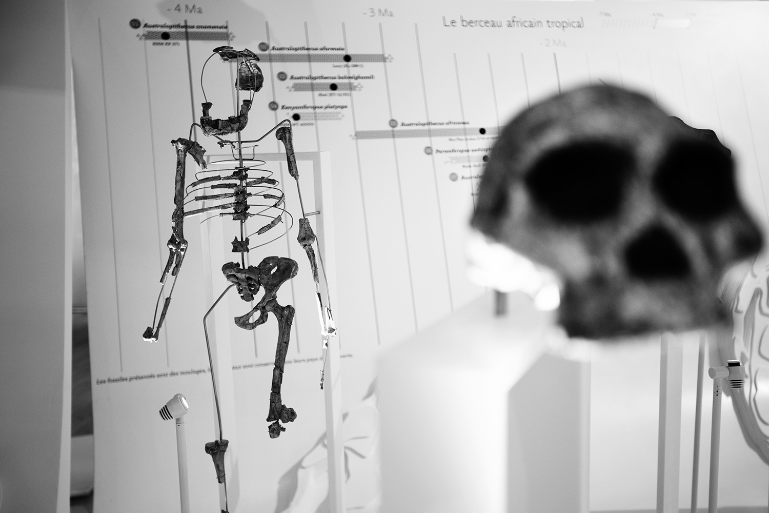 Musée de l'Homme, Paris by Laurent Orseau #9