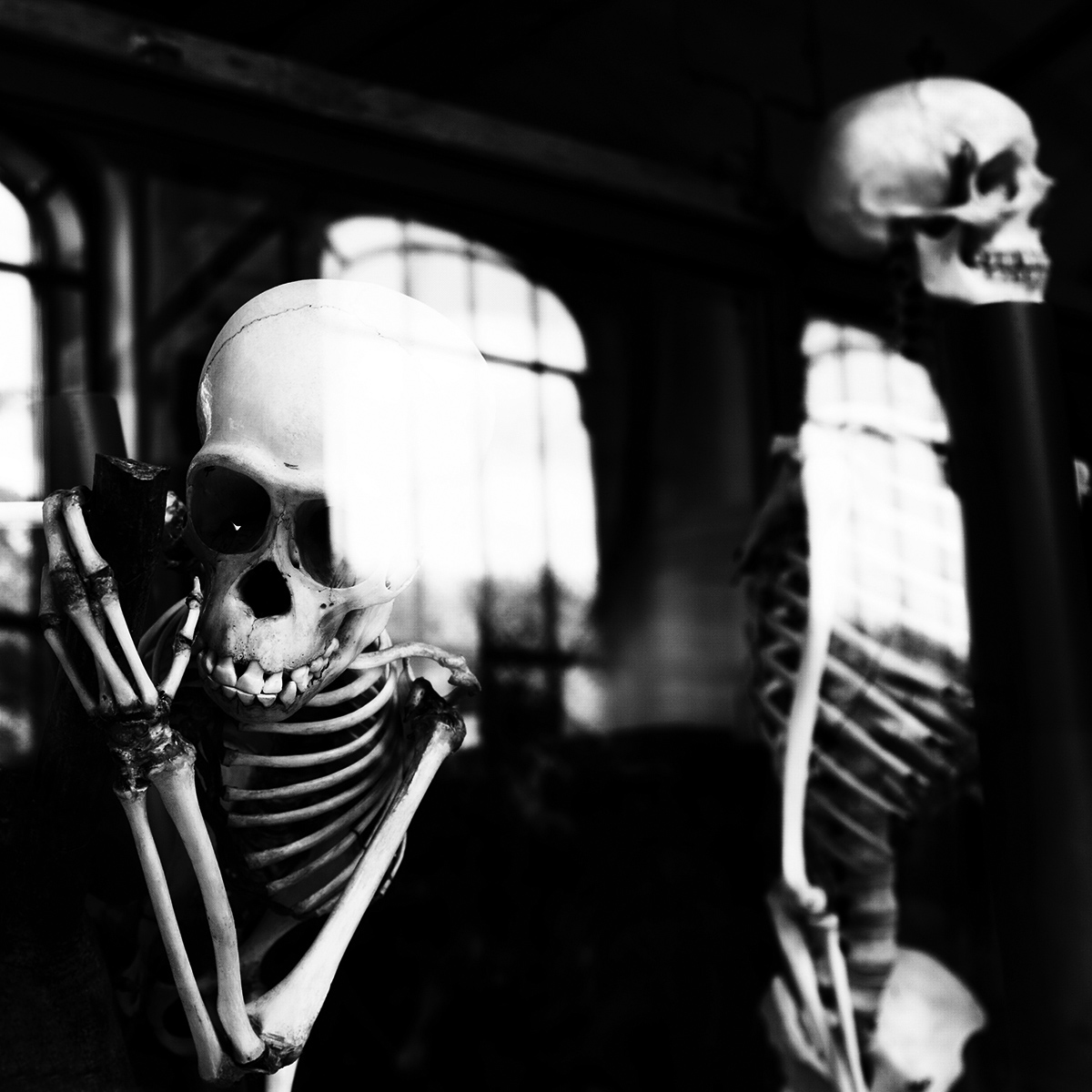 Skeletons by Laurent Orseau #21