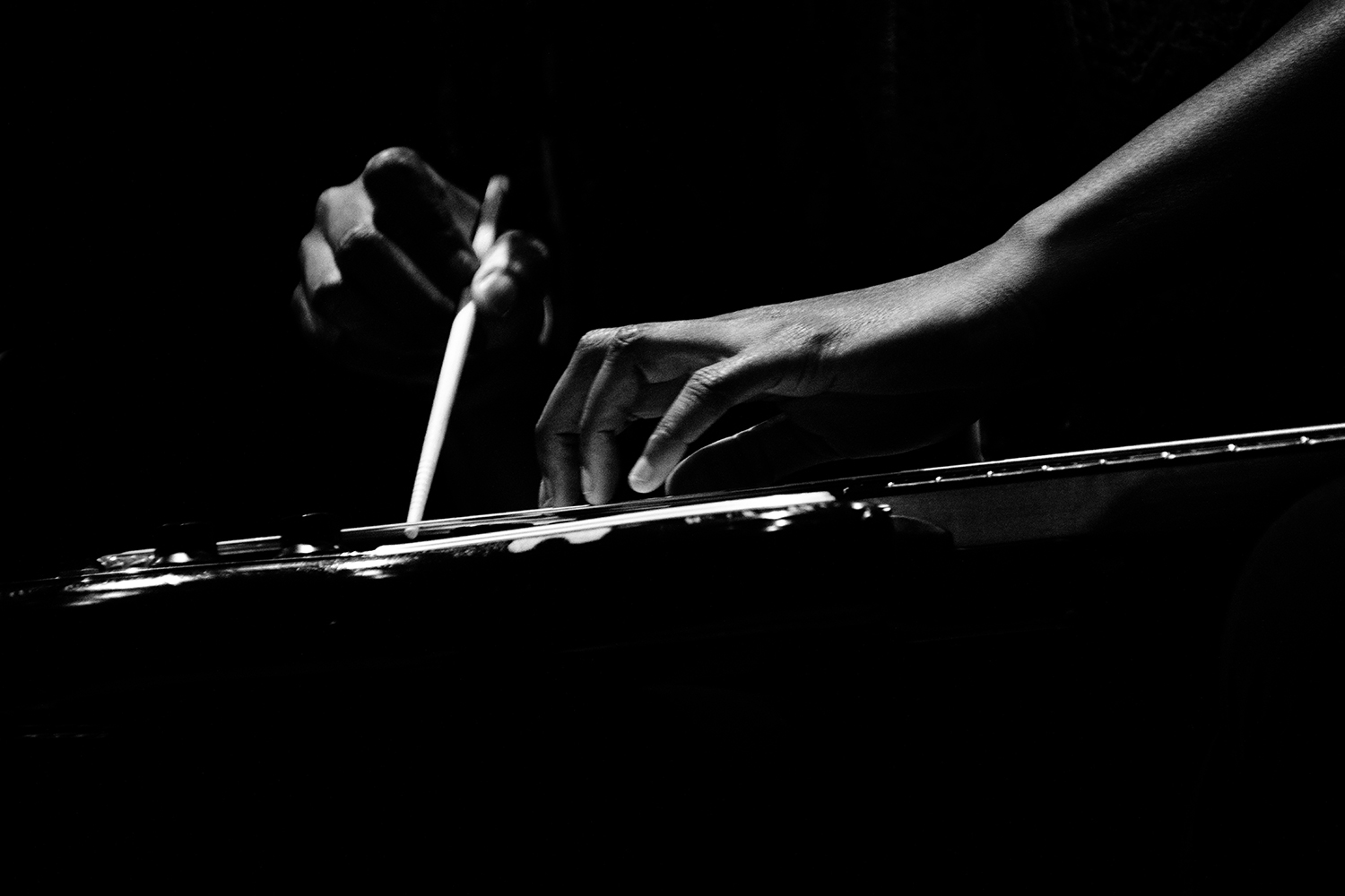 Farida Amadou - Pilar - 2026 #13