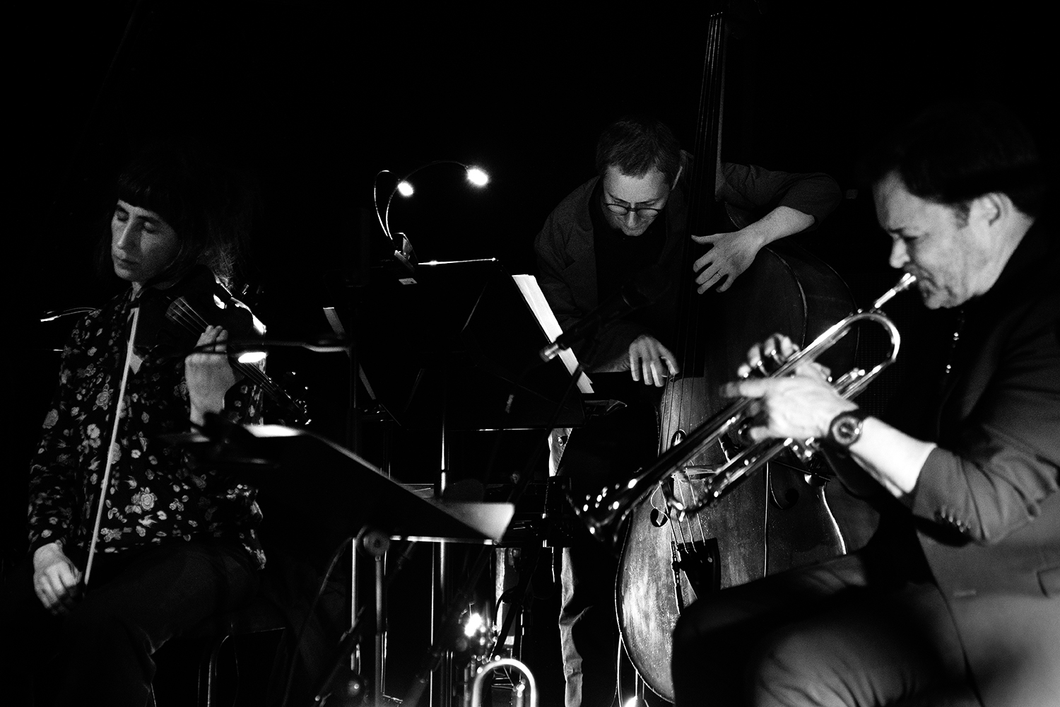 Fnussjen ft. Thomas Morgan & Arve Henriksen - Bozar - 2025 #4