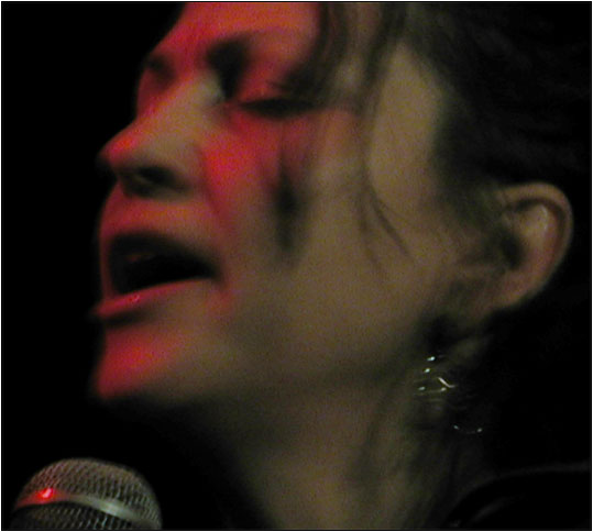 Lisa Germano by Laurent Orseau - Concert - Guinguette Pirate - Paris, France #9