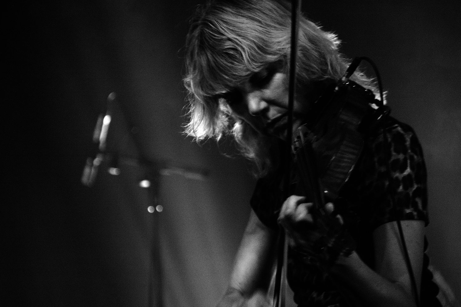 I H8 Camera - Botanique - 2025 #16