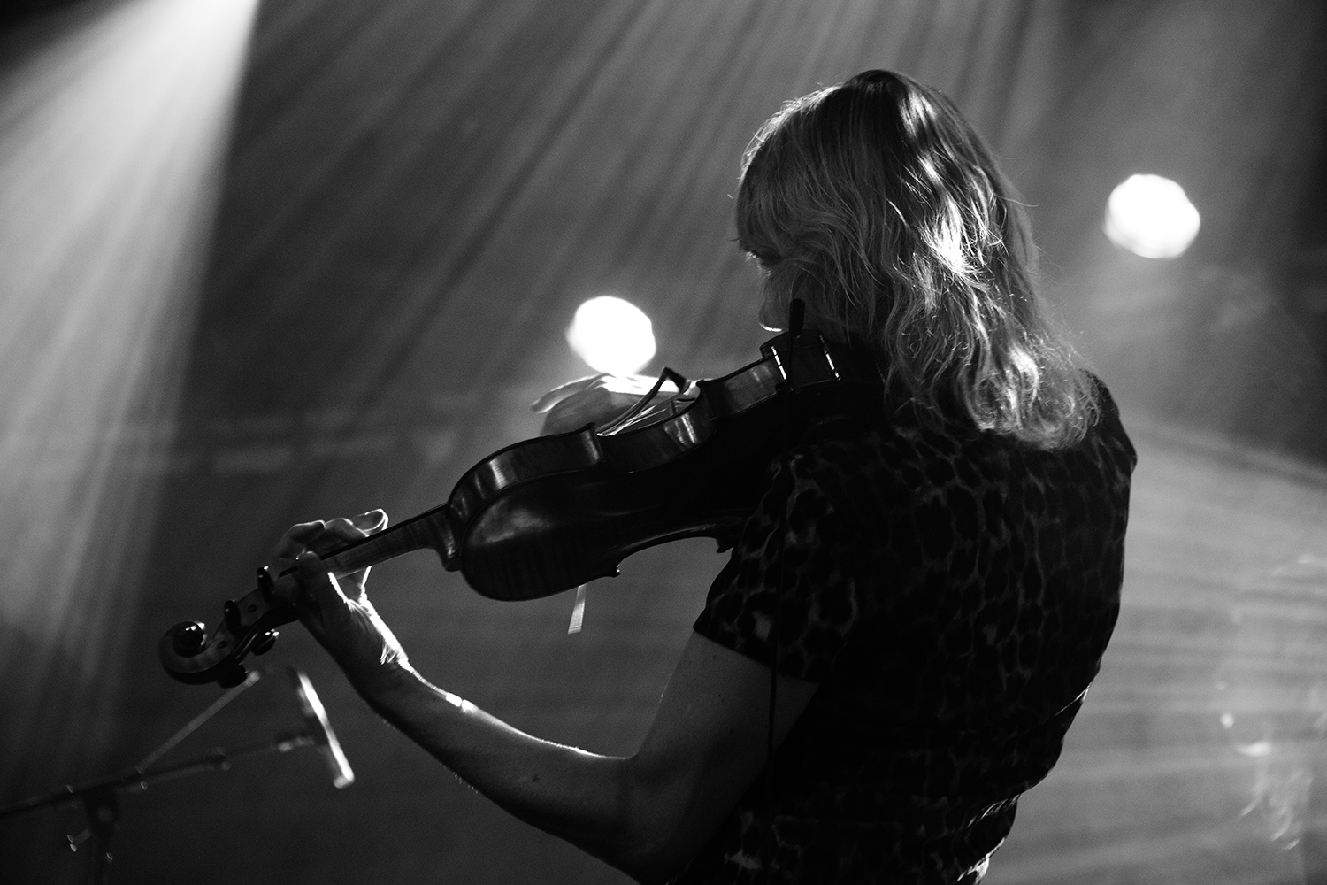 I H8 Camera - Botanique - 2025 #17