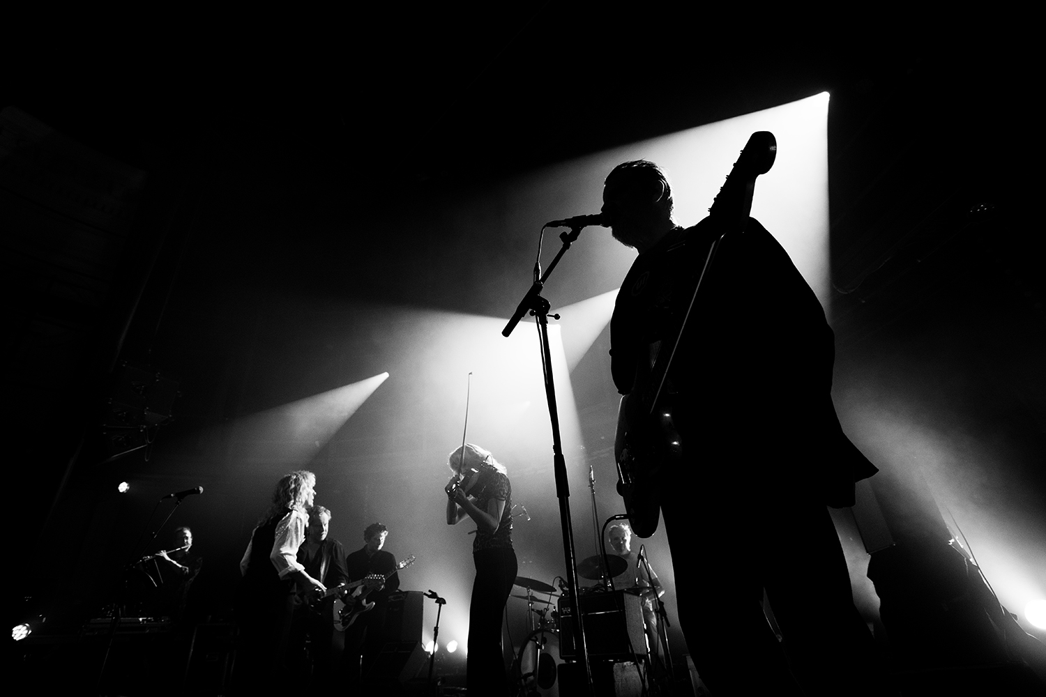 I H8 Camera - Botanique - 2025 #2