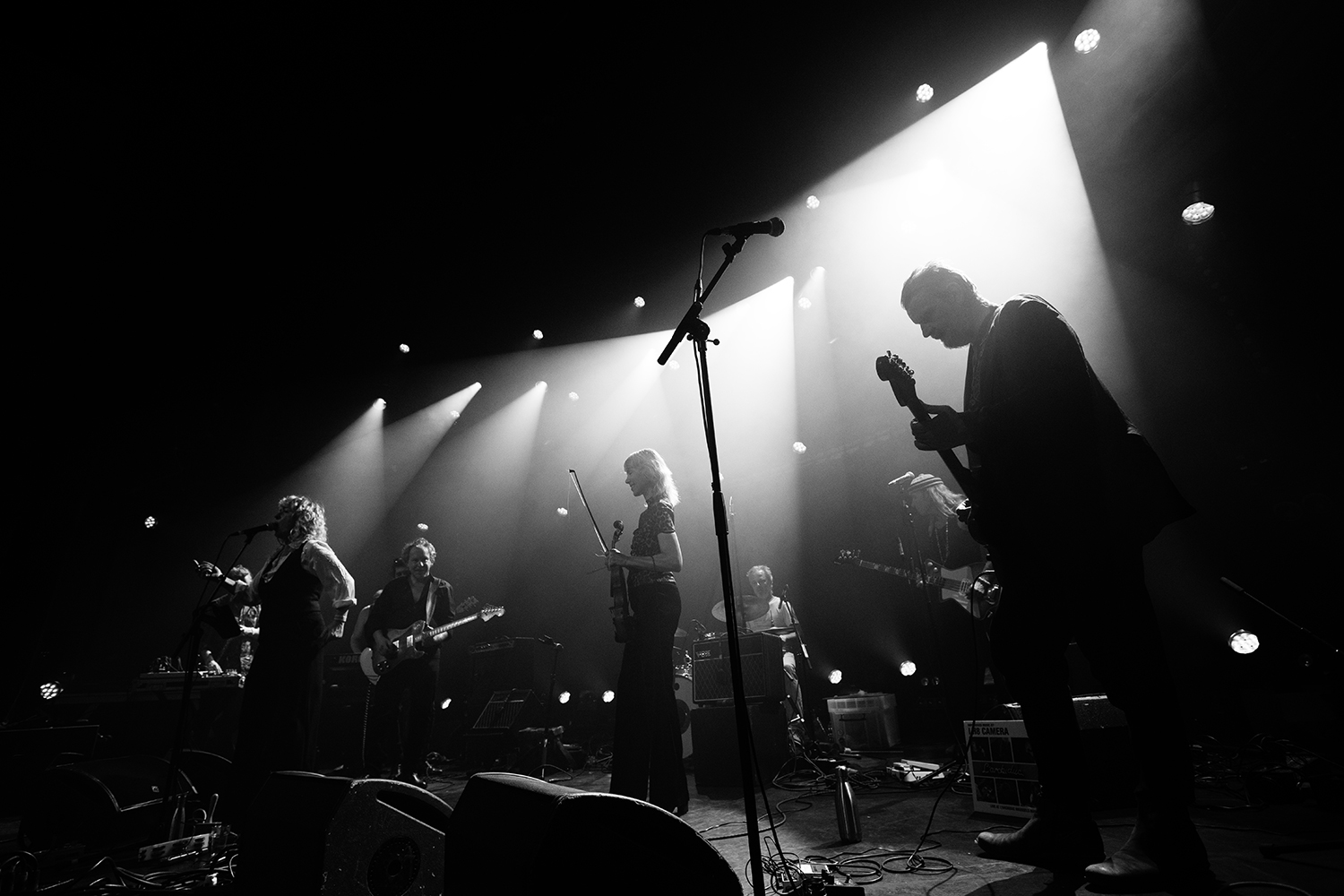 I H8 Camera - Botanique - 2025 #3