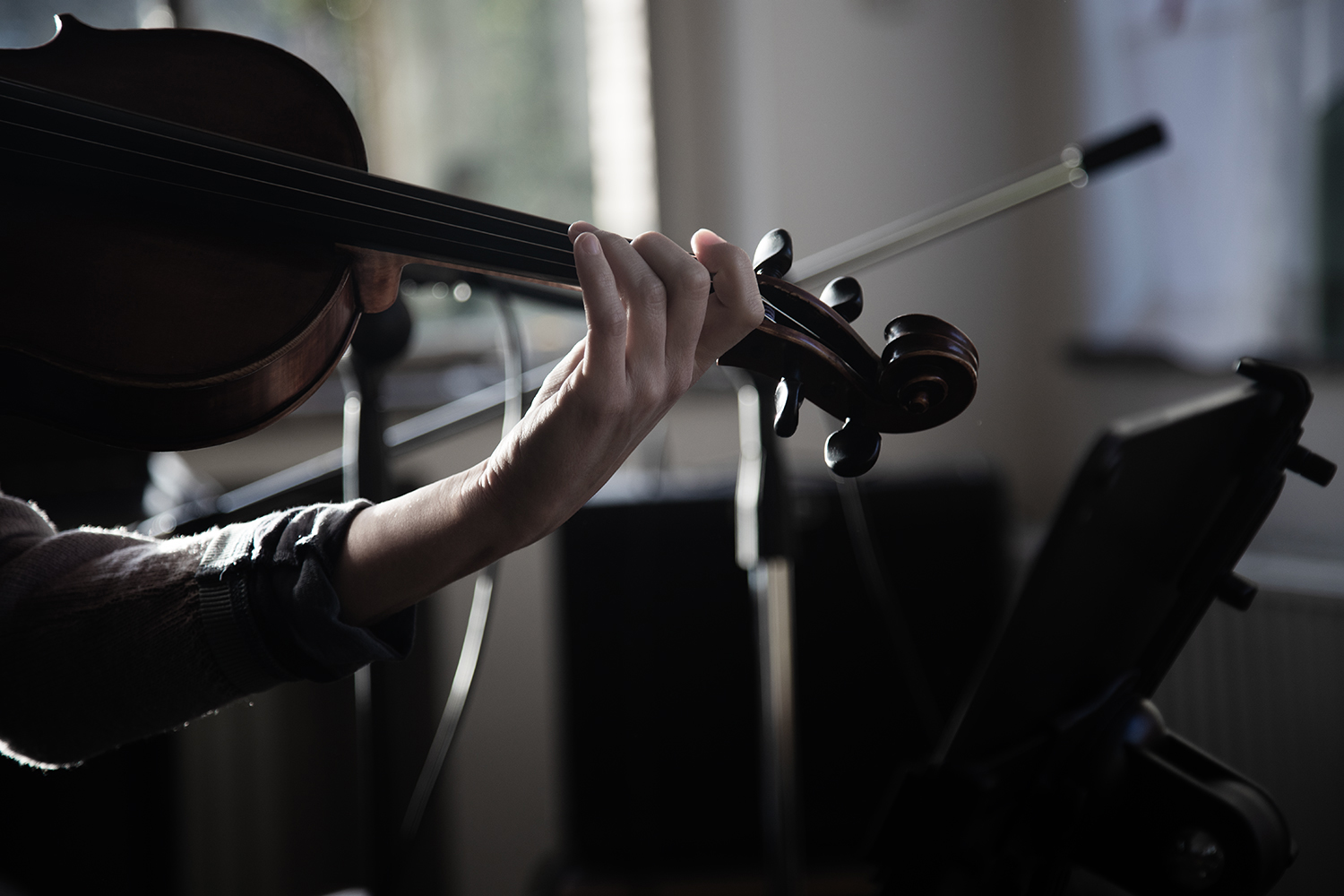 Julie Michael - Canap&eacute; - 2026 #8