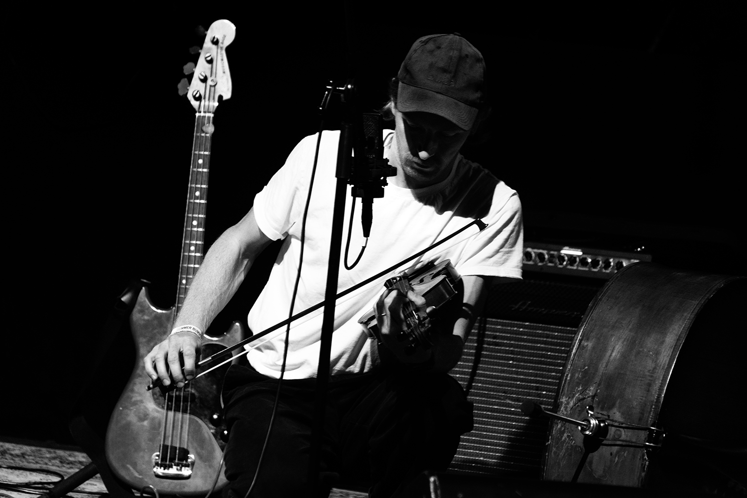 Kabas Sun Dog - Trix - 2026 #15