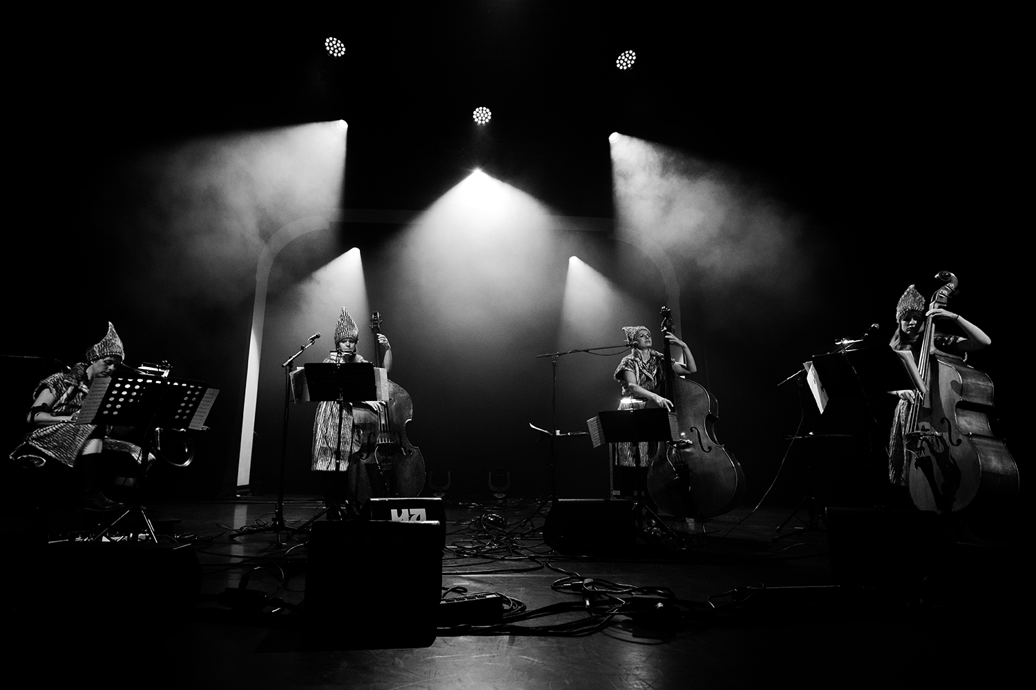 Lady Sapiens (Mingo Rajandi & Elsa Bergman & Beate Weisinger & Berlinde Deman) -...