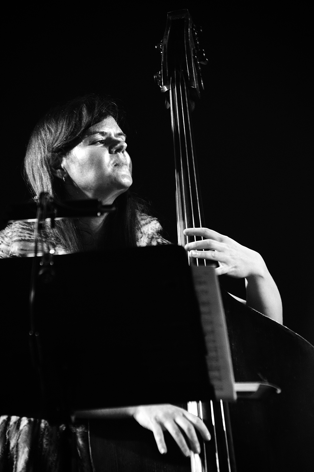 Lady Sapiens (Mingo Rajandi & Elsa Bergman & Beate Weisinger & Berlinde Deman) - Ha Concerts - 2025 #12