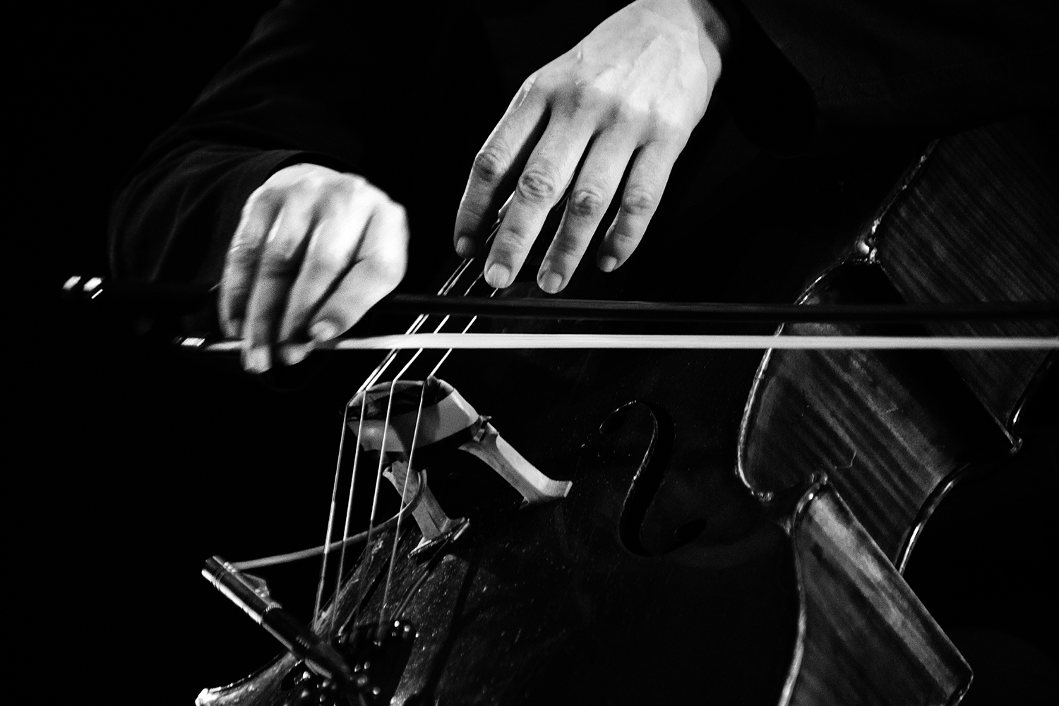 Leila Bordreuil - Pilar - 2026 #13