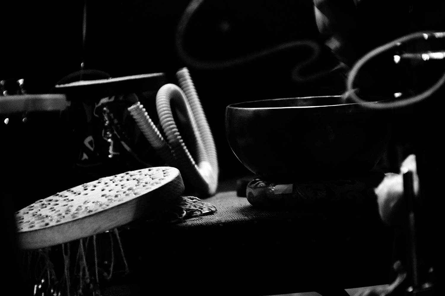 Quentin Stokart & Žiga Ipavec - Cobra Jaune - 2026 #10