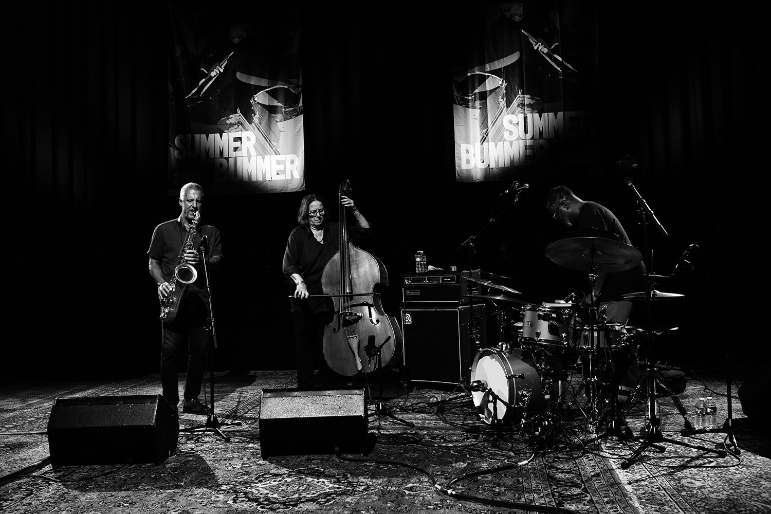 Rodrigo Amado & Joëlle Léandre & Gerald Cleaver - Summer Bummer Festival - Trix...