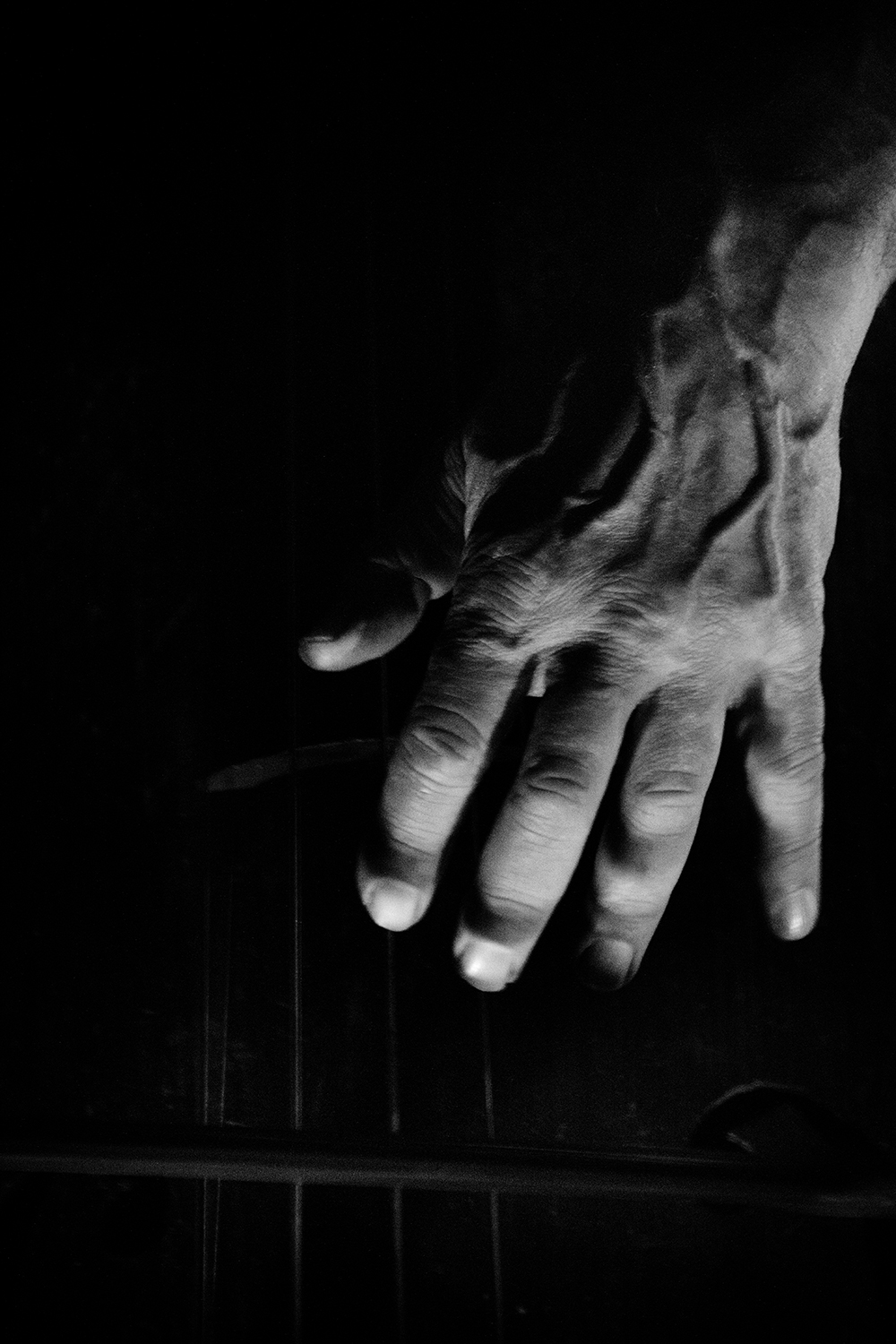 Vasco Trilla & Lu&iacute;s Vicente & Peter Jacquemyn & Pierre-Michel Zaleski - Cobra Jaune - 2026 #11