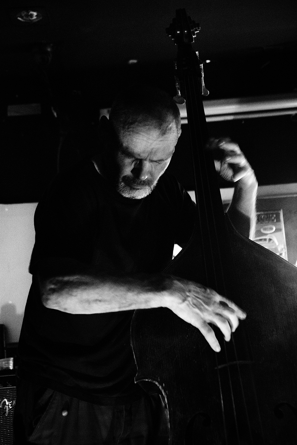 Vasco Trilla & Lu&iacute;s Vicente & Peter Jacquemyn & Pierre-Michel Zaleski - Cobra Jaune - 2026 #6